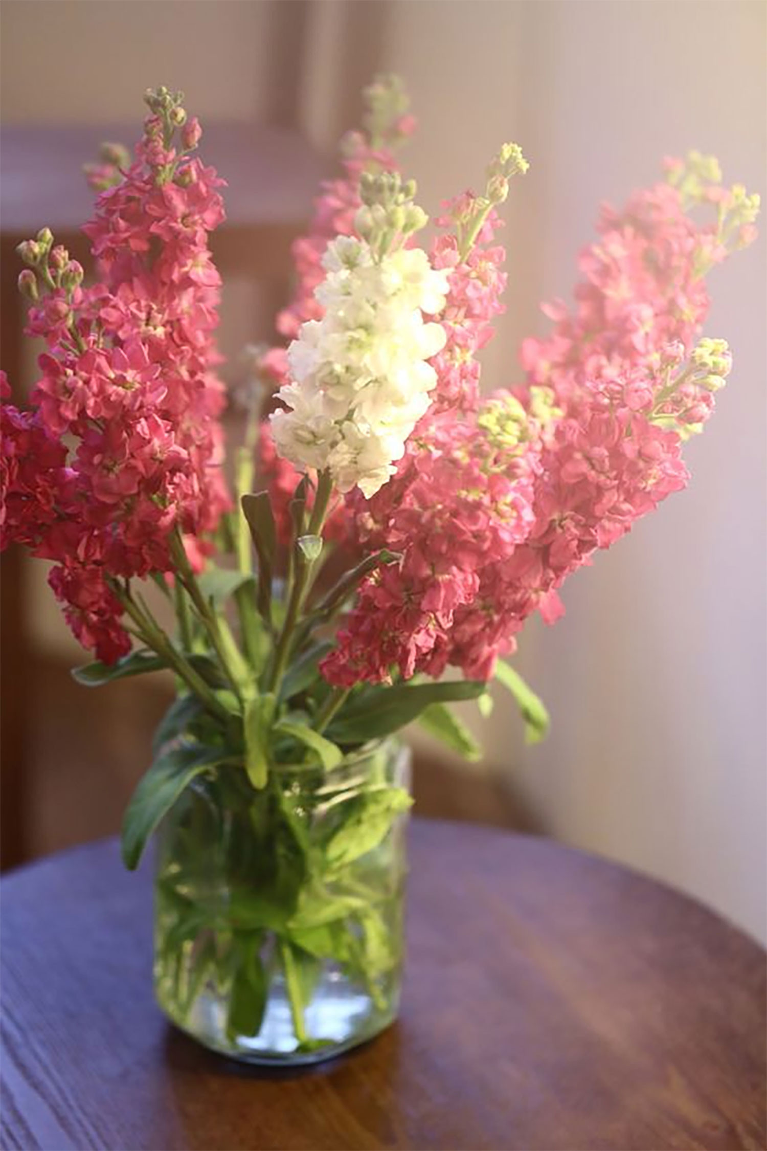 hinh-nen-hoa-phi-yen-thang7