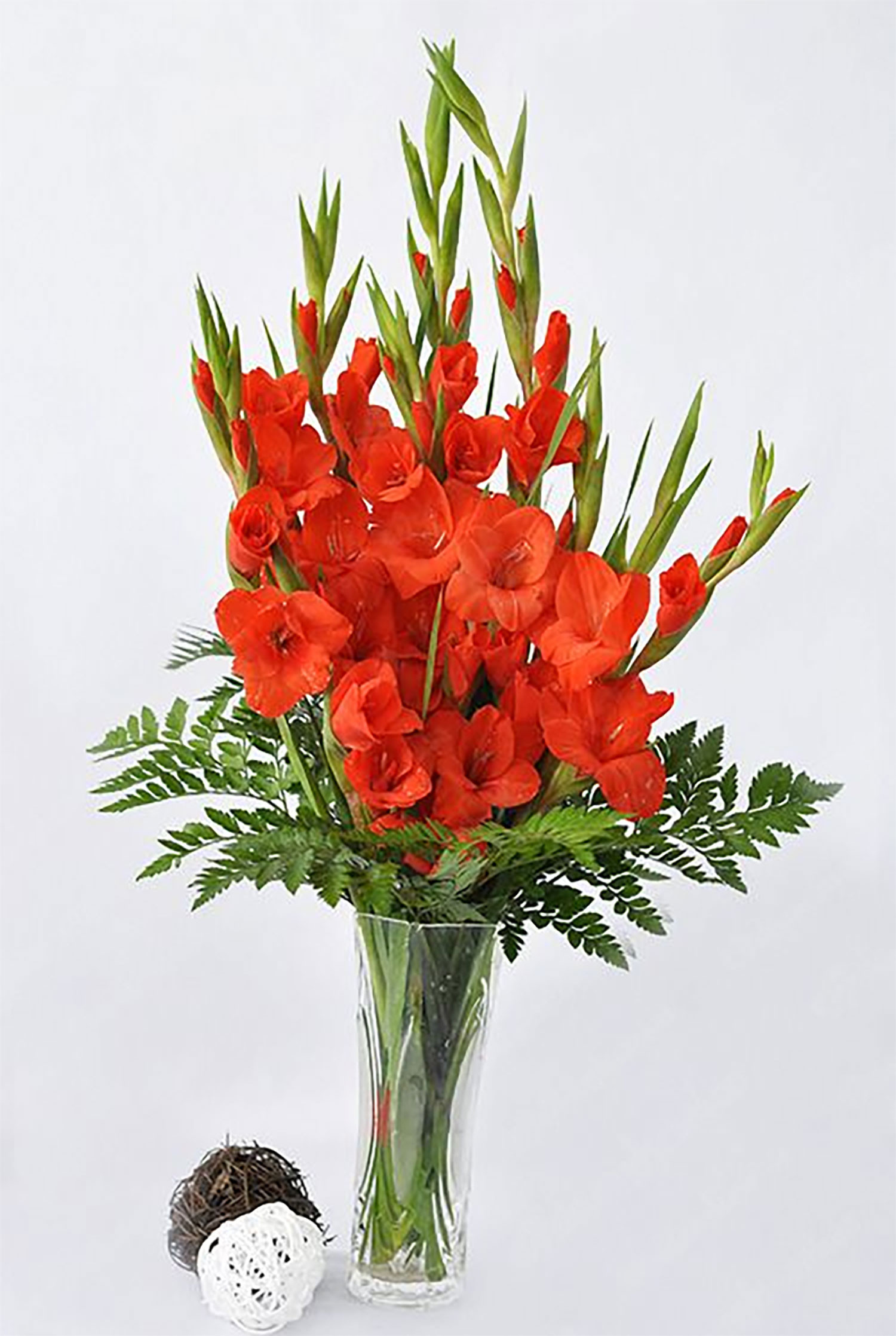 hinh-nen-hoa-lay-on-thang8