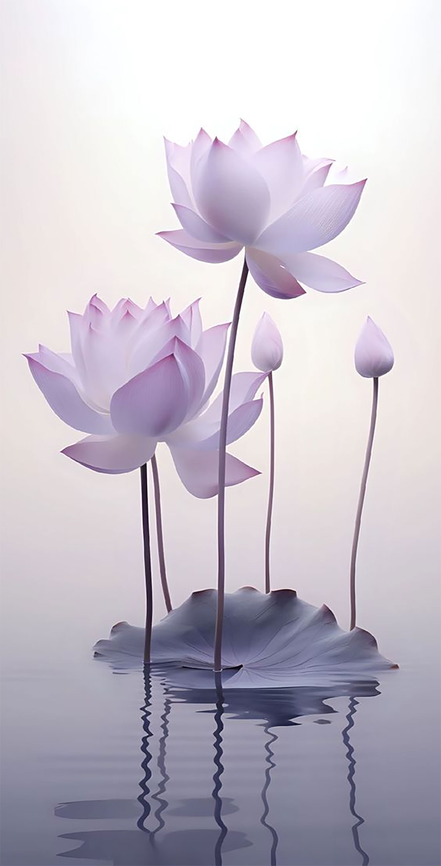 hinh-nen-hoa-sen-cho-dien-thoai