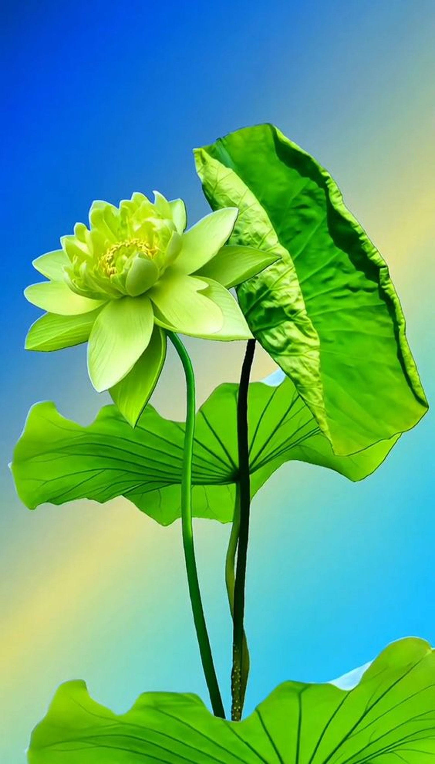 hinh-nen-hoa-sen-cho-dien-thoai-hoa-sen-xanh