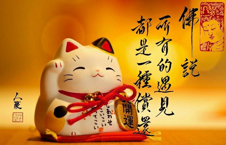 Hình nền máy tính mèo thần tài