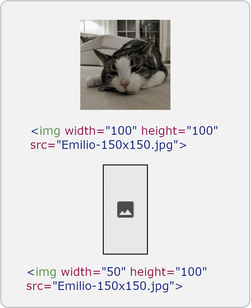So sánh hình ảnh được tối ưu hoá với hình ảnh chưa được tối ưu hoá.