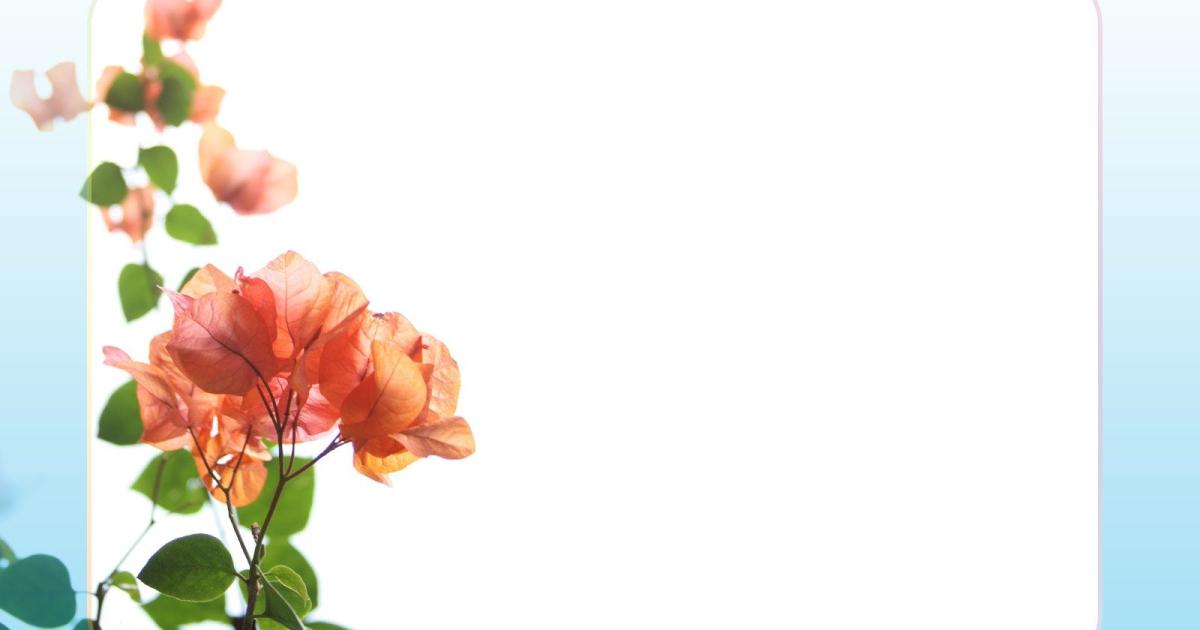 khung powerpoint đẹp 2