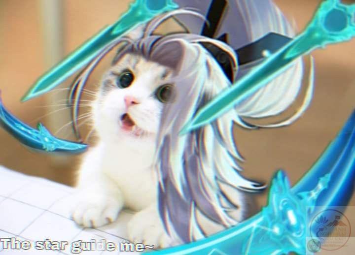 Cách sắp đặt hình ảnh khéo léo khiến ảnh chế trở thành nét đặc sắc riêng