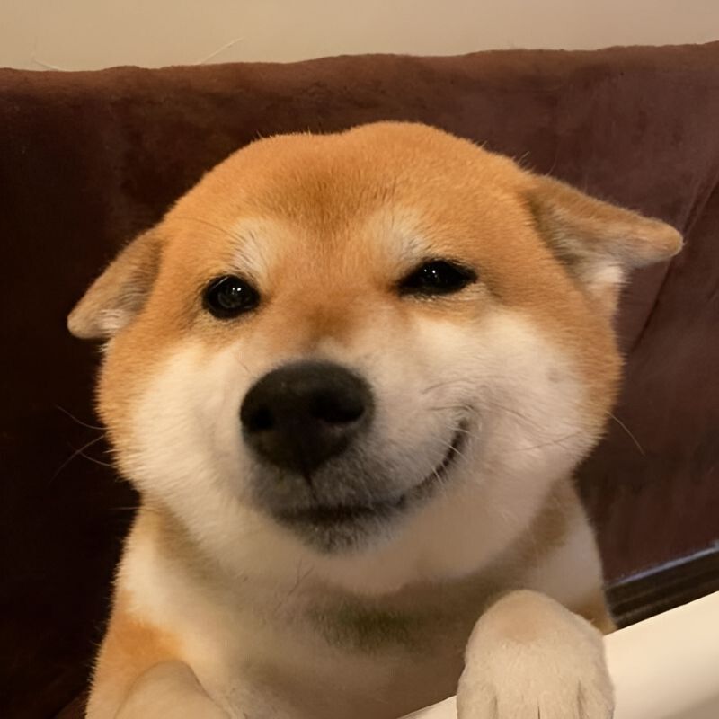 Meme cười theo sắc thái biểu cảm