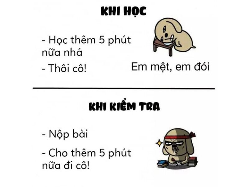 Meme cười theo ngữ cảnh sử dụng