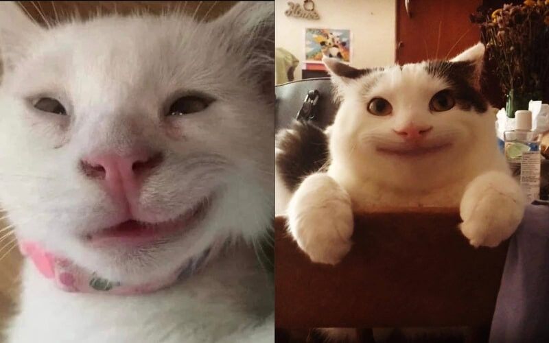 Meme cười theo đối tượng nhân vật