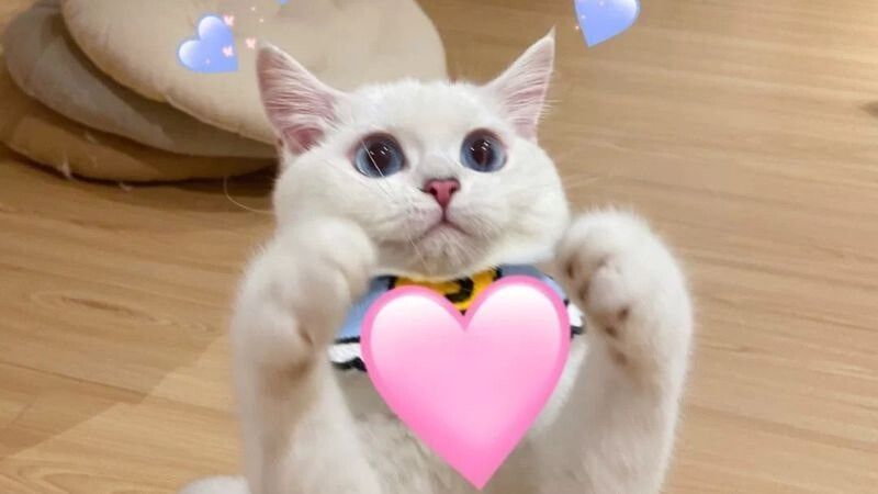 Meme cười theo đối tượng nhân vật