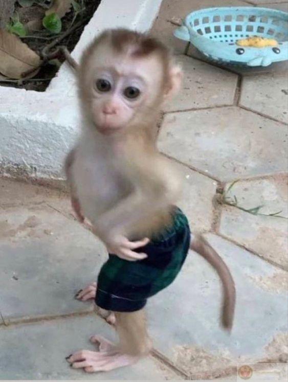 Khi bạn thành công nhờ khí chất "chống nạnh"