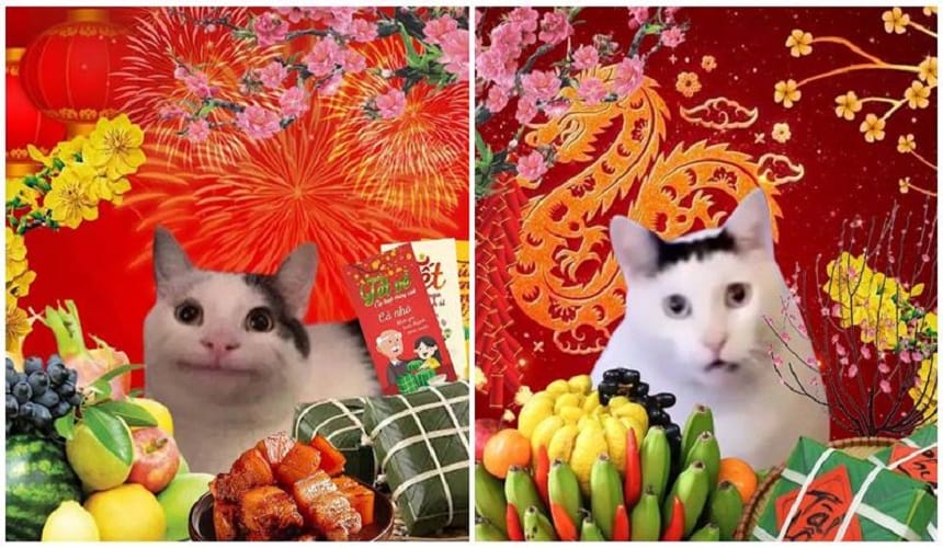 Top meme chúc may mắn vào dịp tết