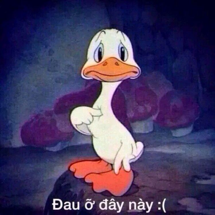 Đau ở đây nè meme
