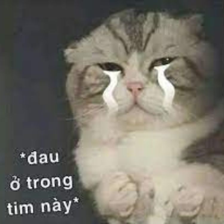 Meme đau đầu ở đây này