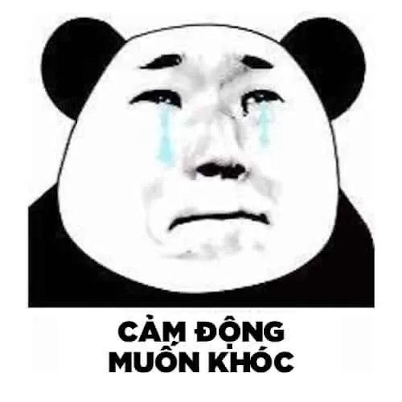 Meme gấu trúc hiện đại