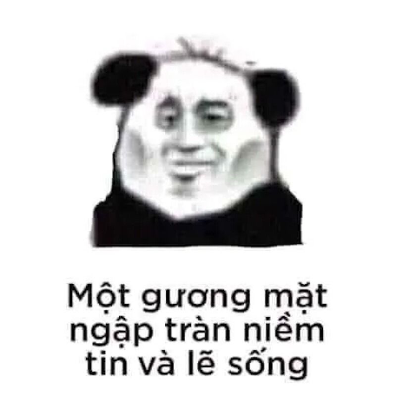 Meme gấu trúc hiện đại
