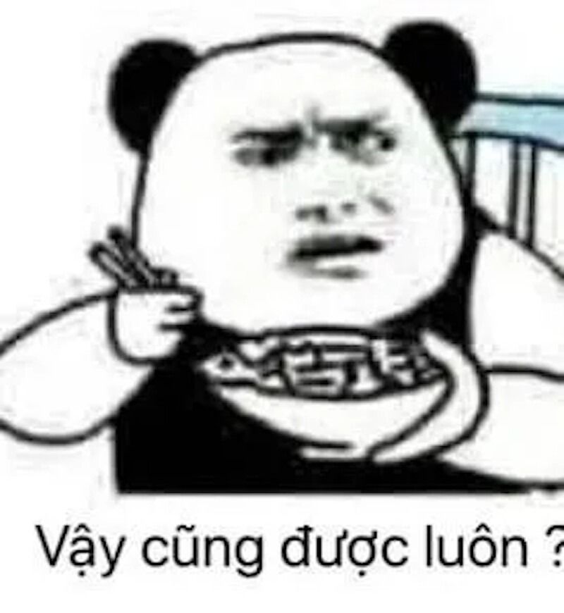 Meme gấu trúc hiện đại