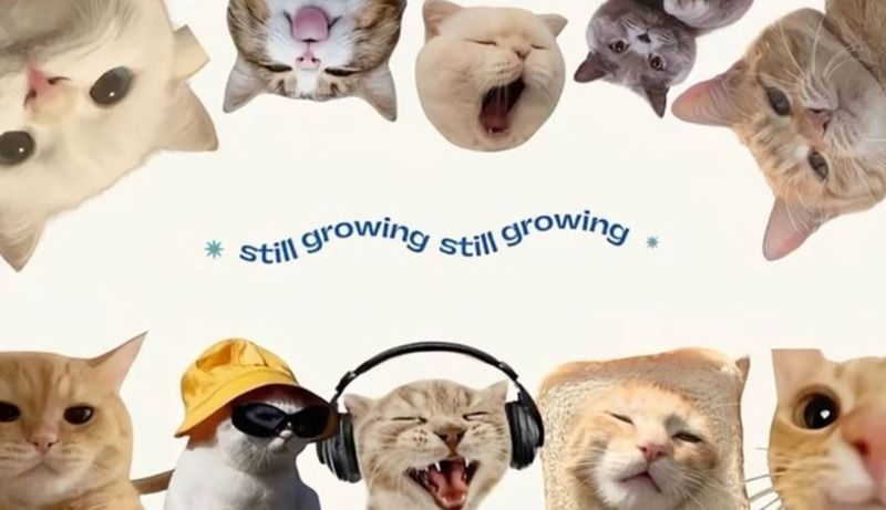 Hình nền nghệ thuật/3D