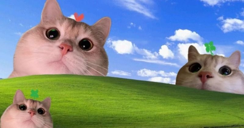 Hình nền máy tính meme về các chủ đề “vô tri” khác