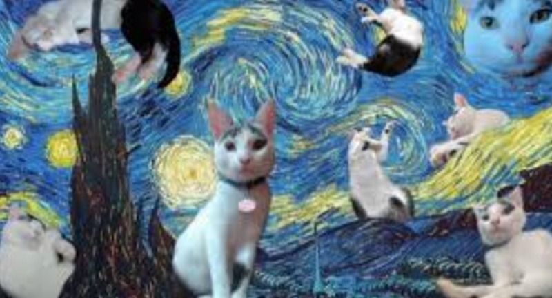 Hướng dẫn cài hình nền trên máy tính Windows