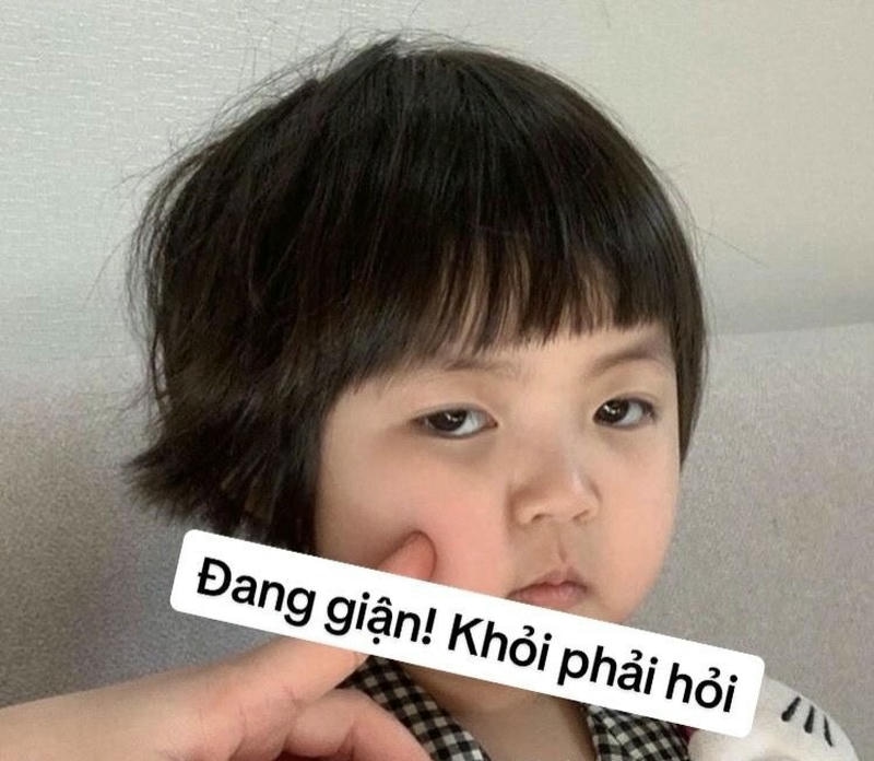 ảnh meme dỗi
