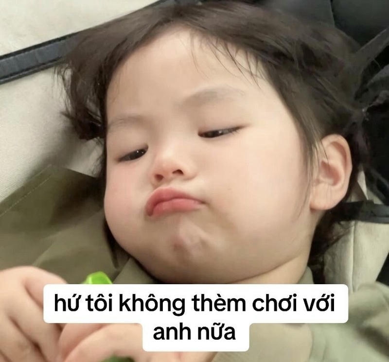 meme mèo dỗi dễ thương