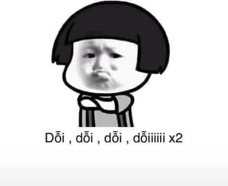 meme mèo dỗi hài