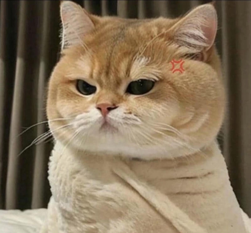 meme giận dỗi cute