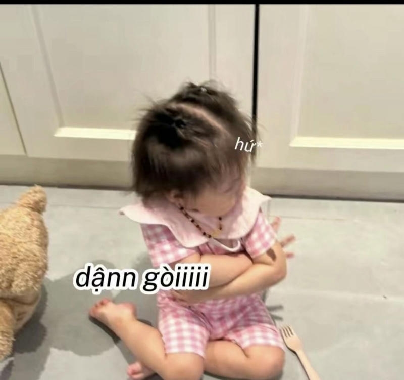 meme mèo dỗi buồn