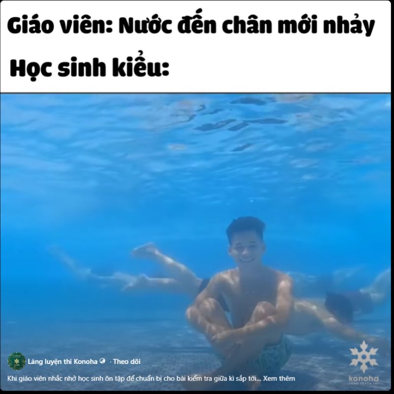 meme học bài lầy lội