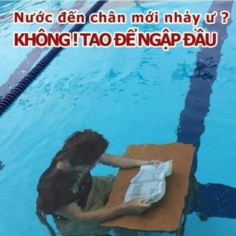 meme học bài dưới nước