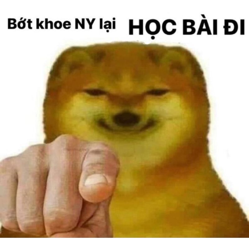 meme học bài