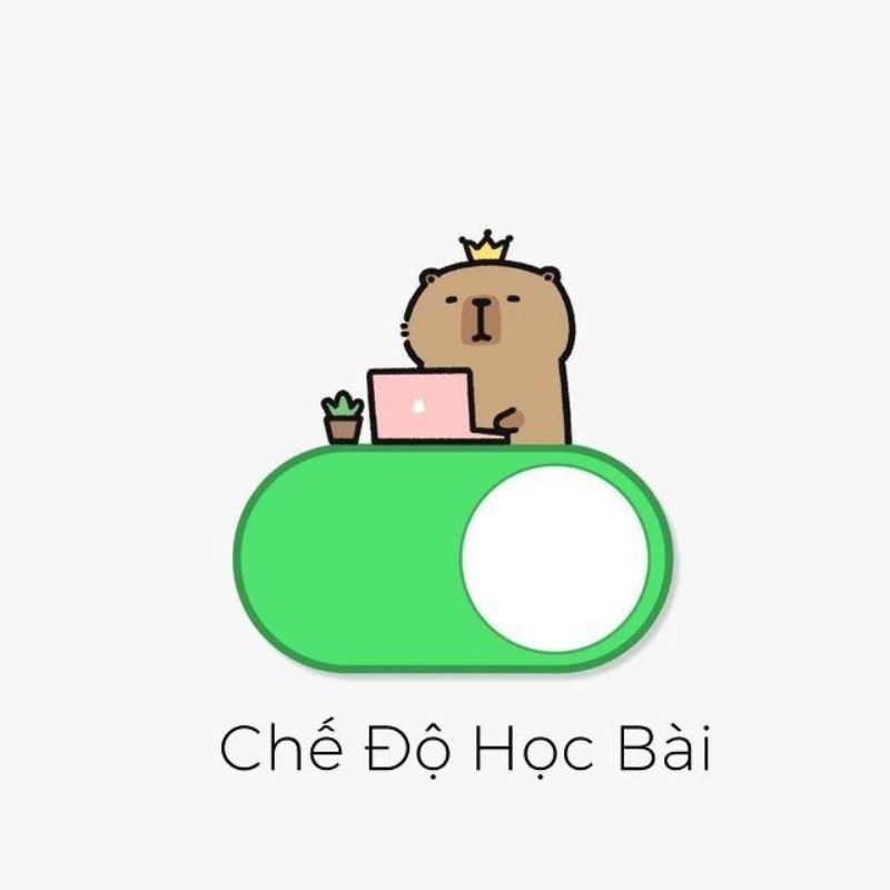 meme học bài