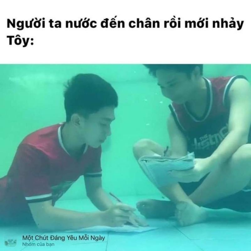 meme học bài