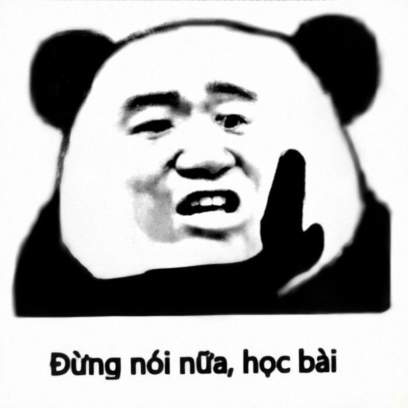 Meme học bài chăm chỉ - bớt nói, học đi!
