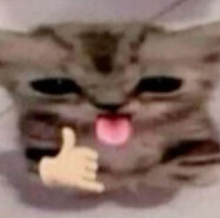 Giả ngơ thành nghệ thuật, ngáo thành đặc sản