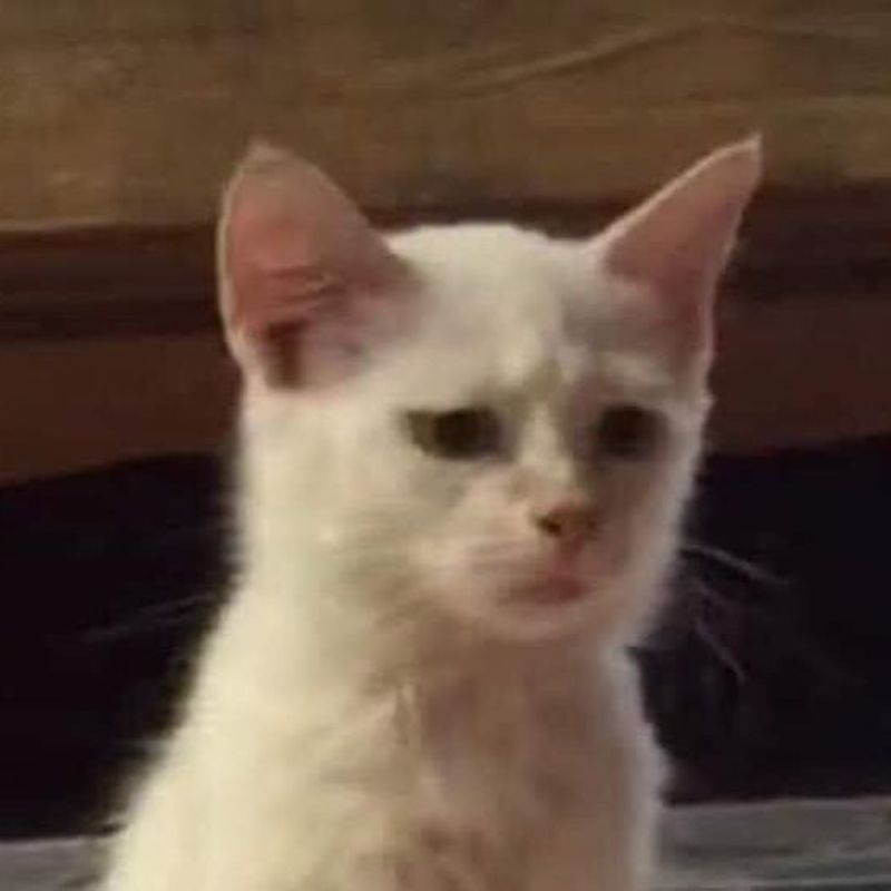 Vừa làm đổ ly nước đã giả vờ ngây thơ