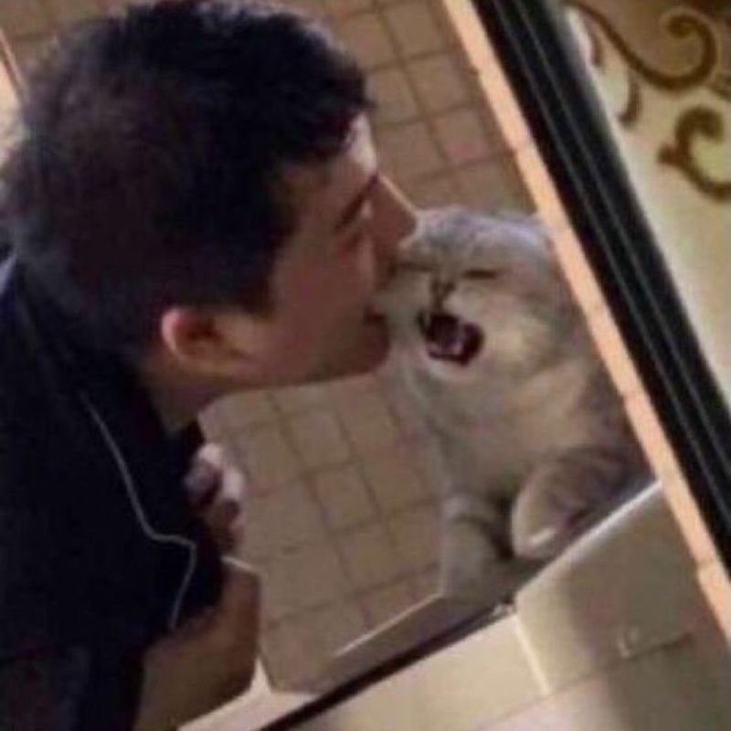 Chỉ cần đụng nhẹ là cáu lên liền