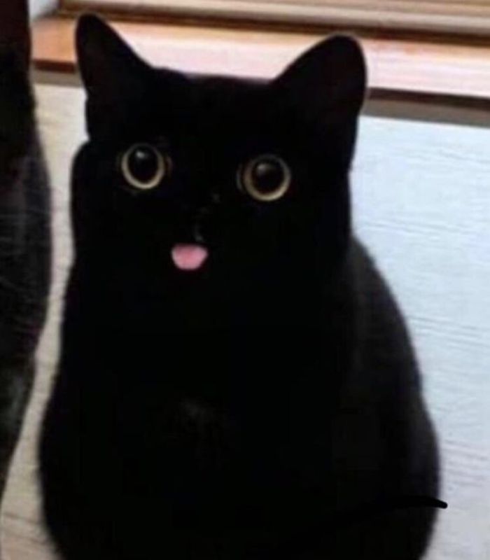 Ngủ ngày cày đêm như hacker full slot