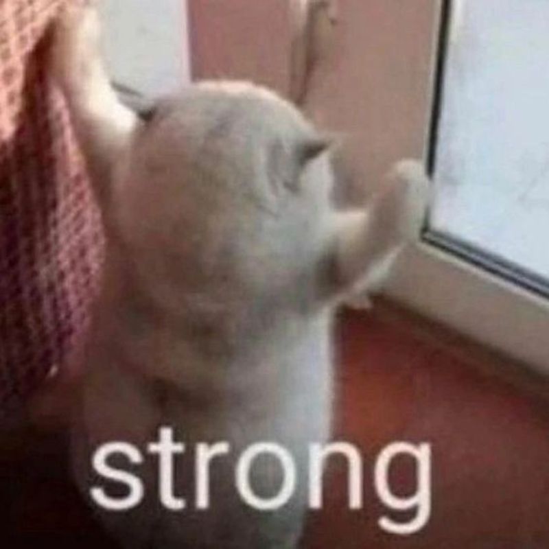 Thích nằm đúng chỗ người ta cần ngồi