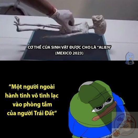 Meme người ngoài hành tinh vui