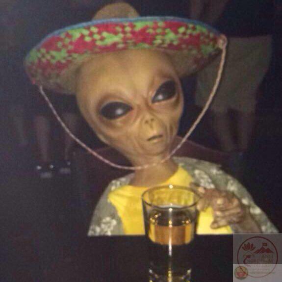 meme alien uống rượu