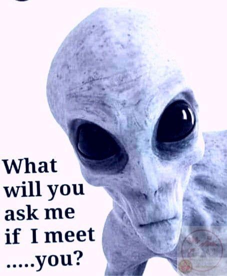 Meme người ngoài hành tinh bá đạo