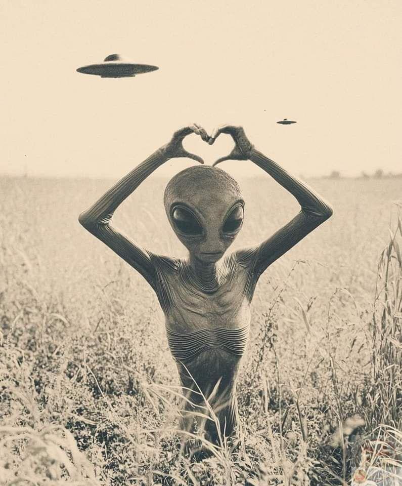 Meme người ngoài hành tinh khô