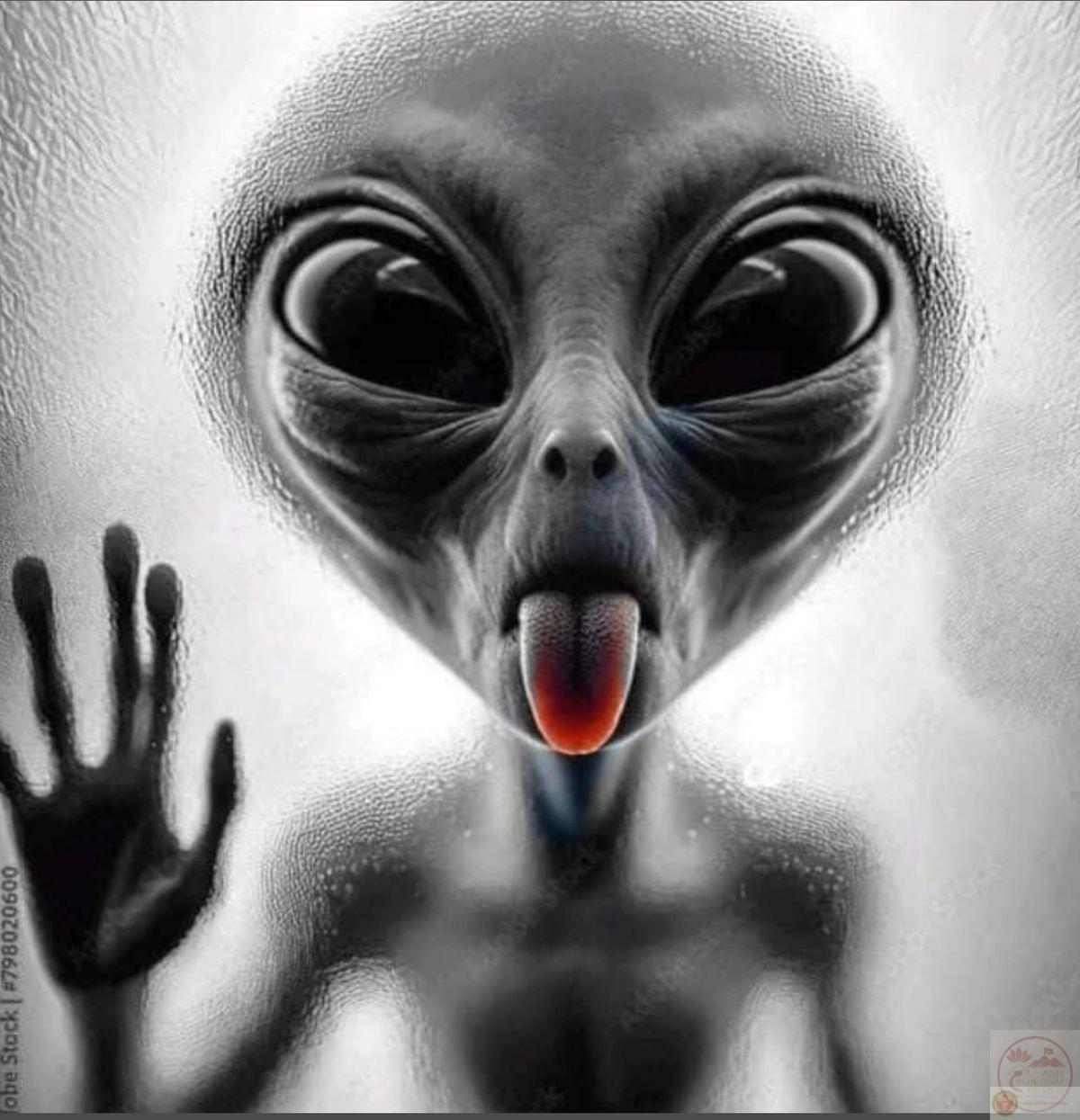 Meme người ngoài hành tinh cười