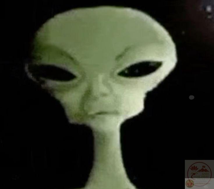 Meme người ngoài hành tinh