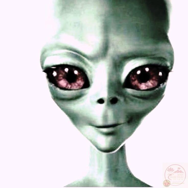 Alien meme: 185+ ảnh người ngoài hành tinh xanh, zip zip viral