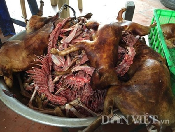 Lạnh người xem mèo bị dìm chết, xẻ thịt ở Thái Bình ảnh 10