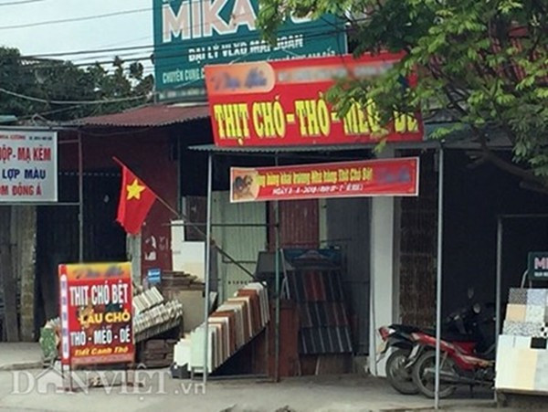 Lạnh người xem mèo bị dìm chết, xẻ thịt ở Thái Bình