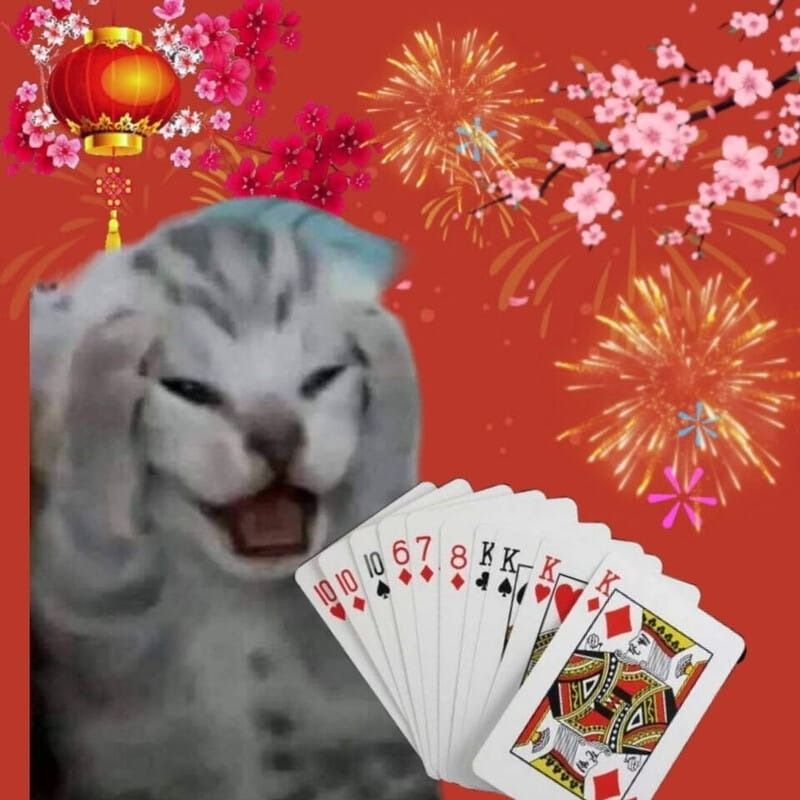 Meme sinh hoạt ngày Tết