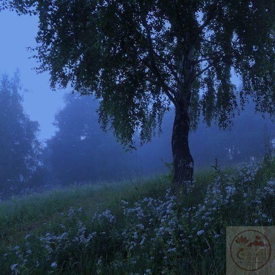 Khung cảnh yên ắng thường làm hiện về nỗi nhớ xa xăm khó nói