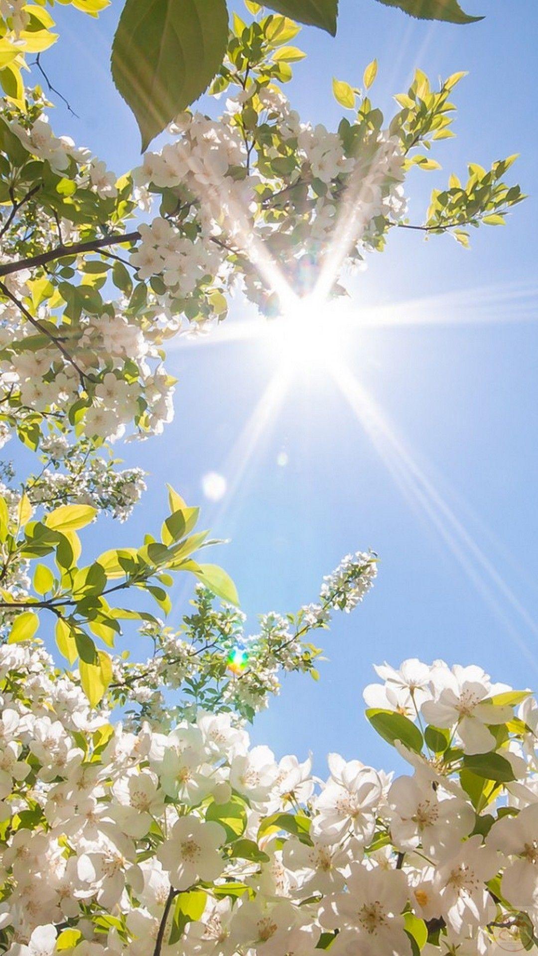 Ảnh chill phong cảnh